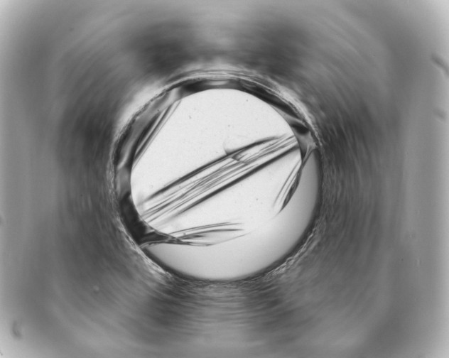 X0000094961464200712271709