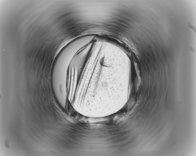 X0000094961465200712271709