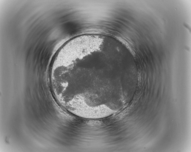 X0000094961466200712271709