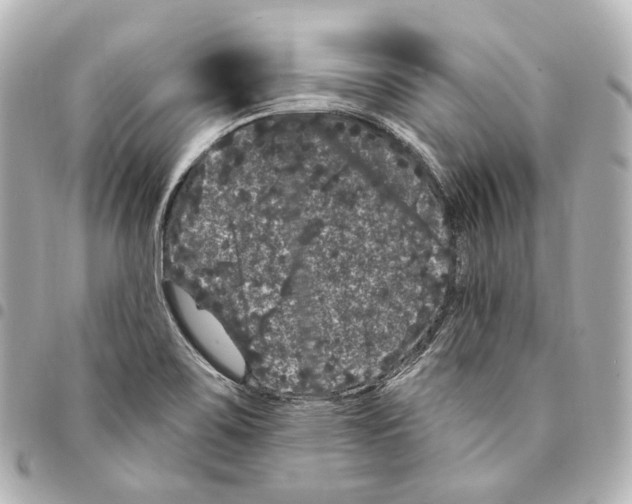 X0000094961467200712271709