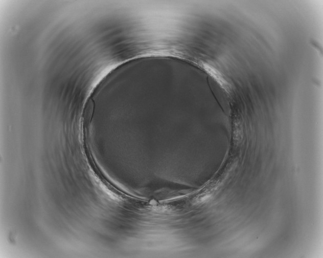 X0000094961468200712271709