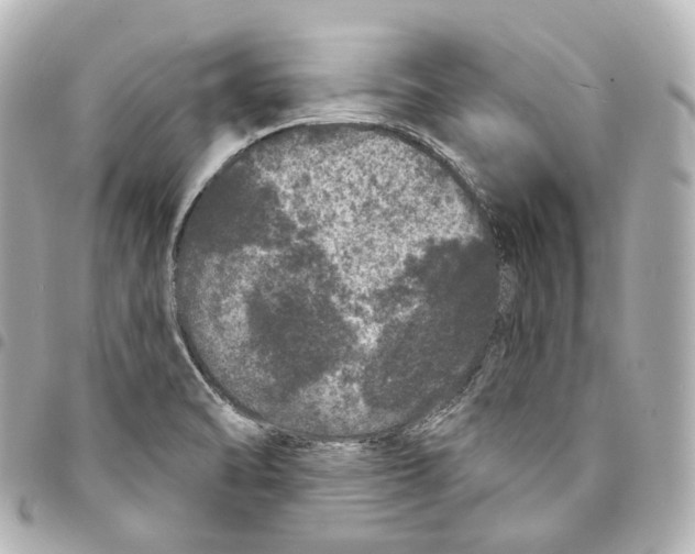 X0000094961470200712271709