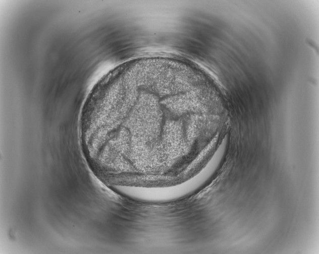 X0000094961471200712271709