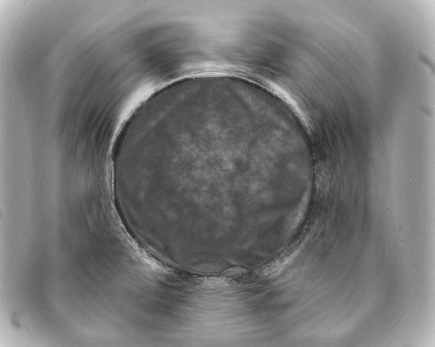 X0000094961472200712271709