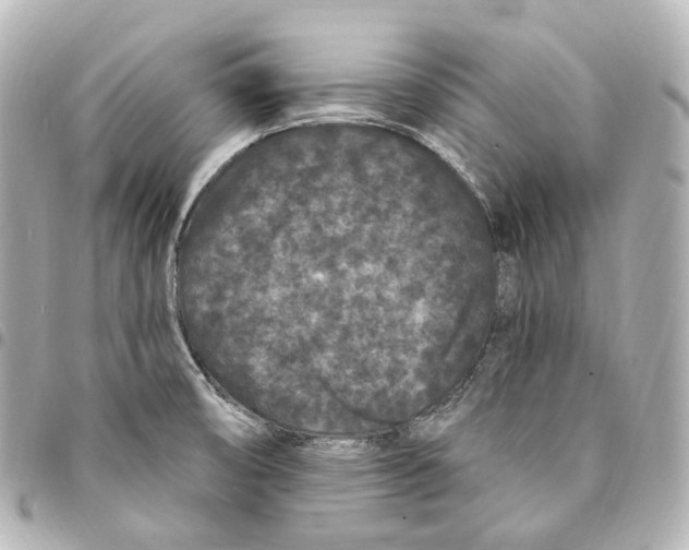 X0000094961474200712271709