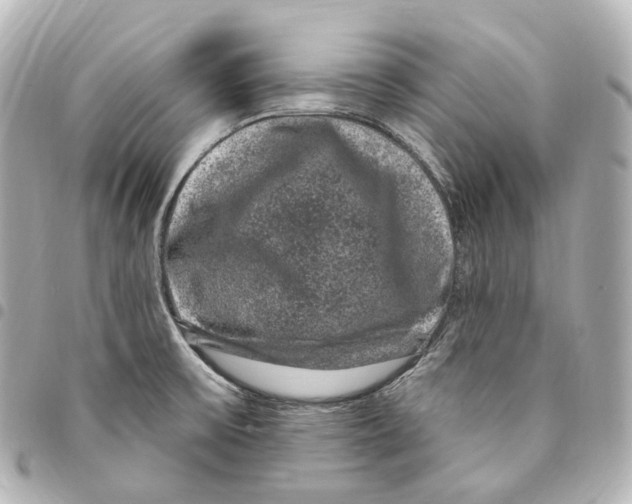 X0000094961475200712271709