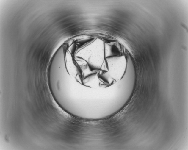 X0000094961476200712271709
