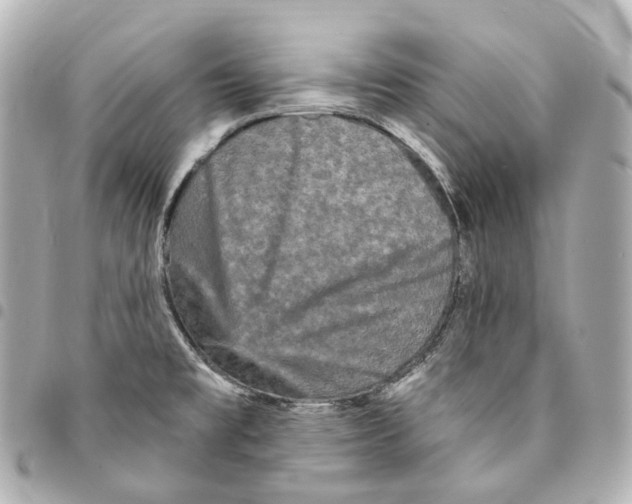 X0000094961477200712271709