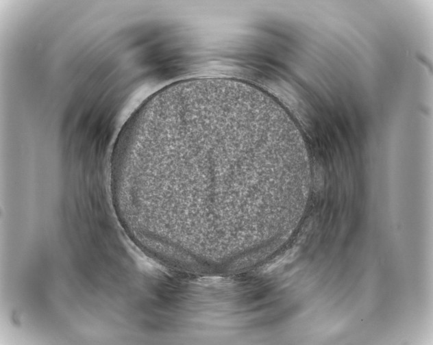 X0000094961478200712271709