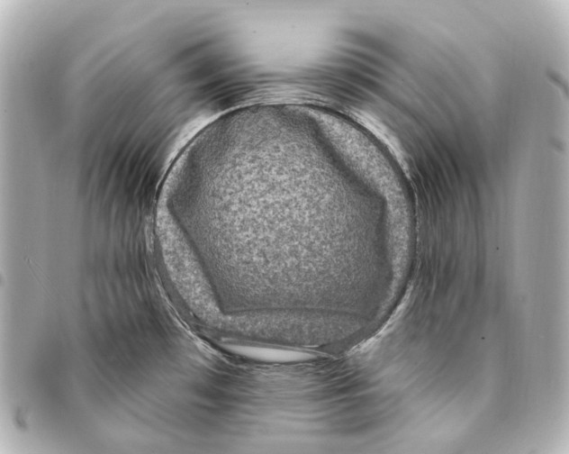 X0000094961481200712271708