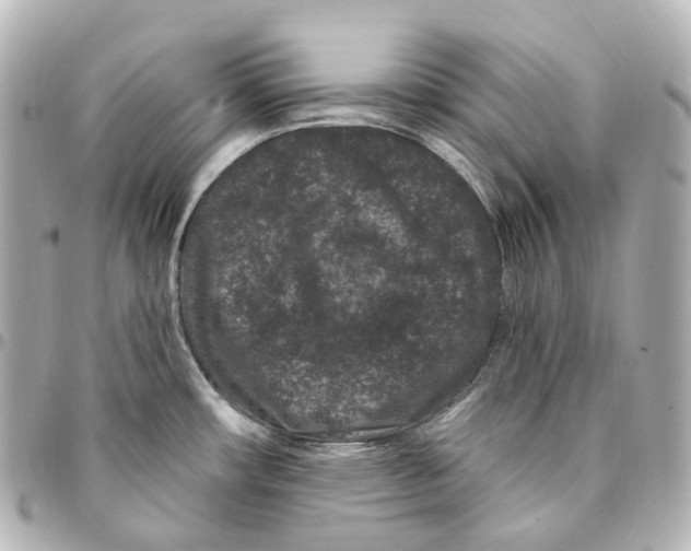 X0000094961482200712271708