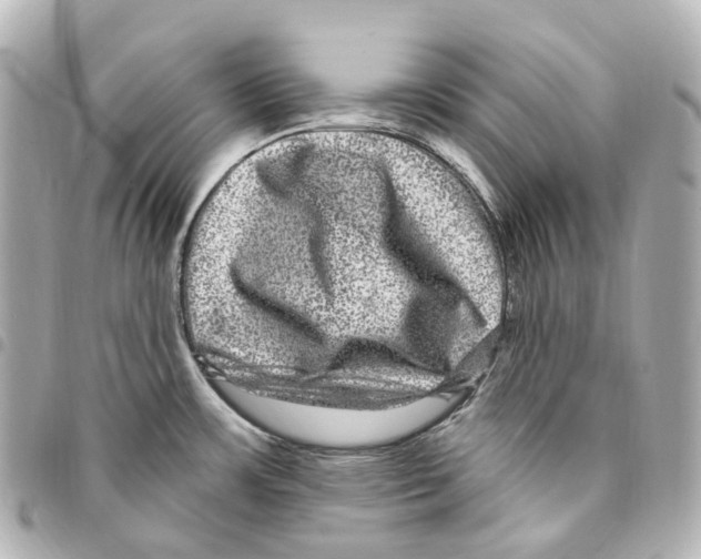 X0000094961483200712271708