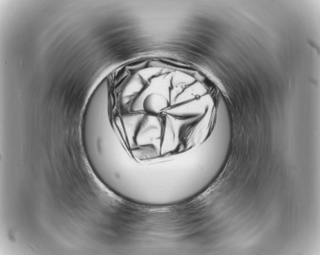 X0000094961484200712271708