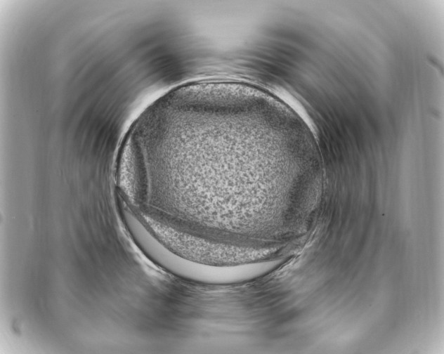 X0000094961485200712271708