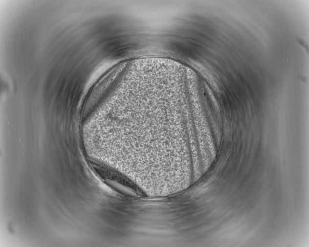 X0000094961486200712271708