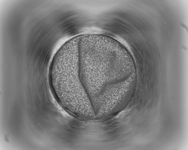 X0000094961488200712271708