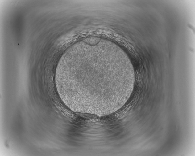 X0000094961489200712271708