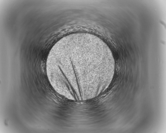 X0000094961490200712271708