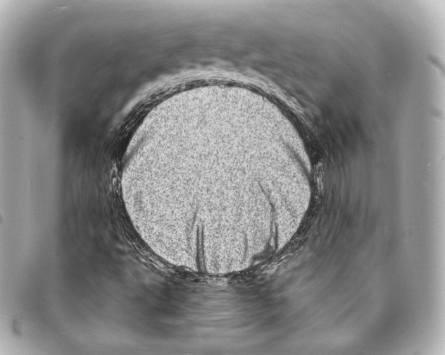 X0000094961495200712271708