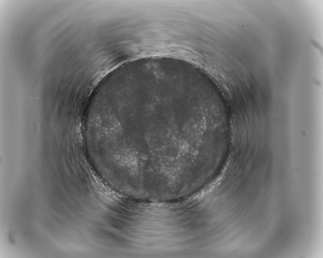 X0000094961497200712271708