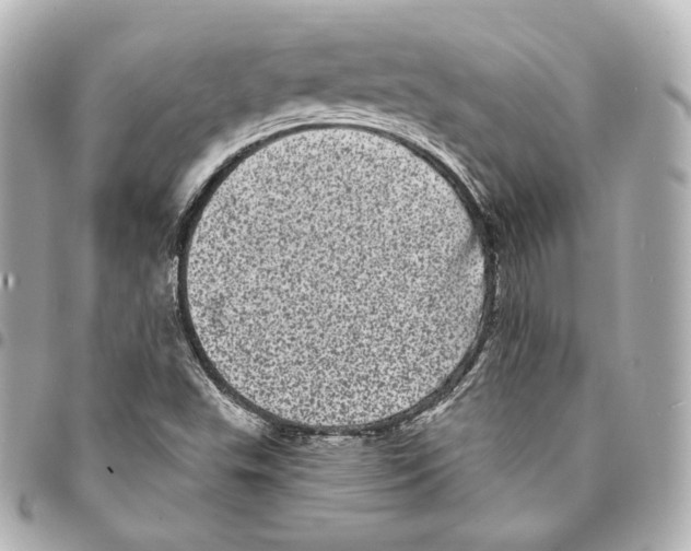 X0000094961503200712271708