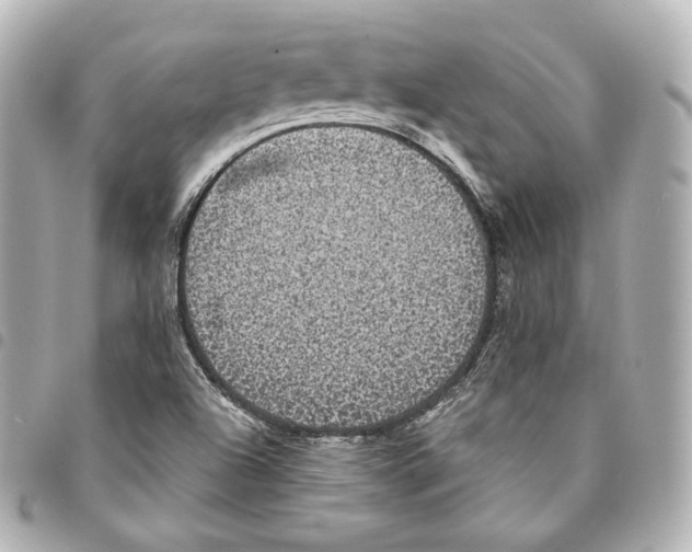 X0000094961504200712271708