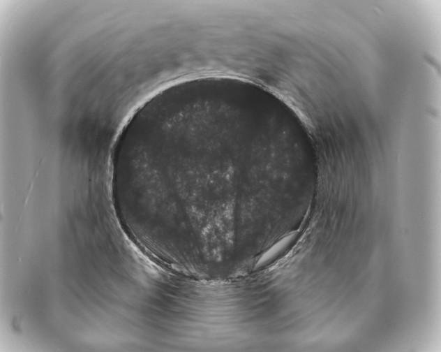 X0000094961508200712271708