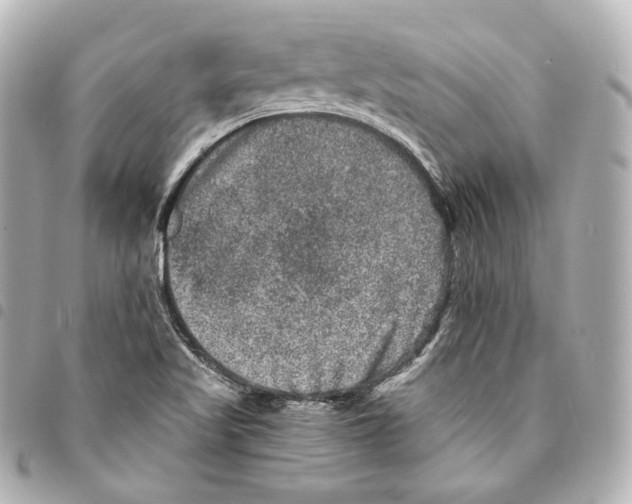 X0000094961509200712271708