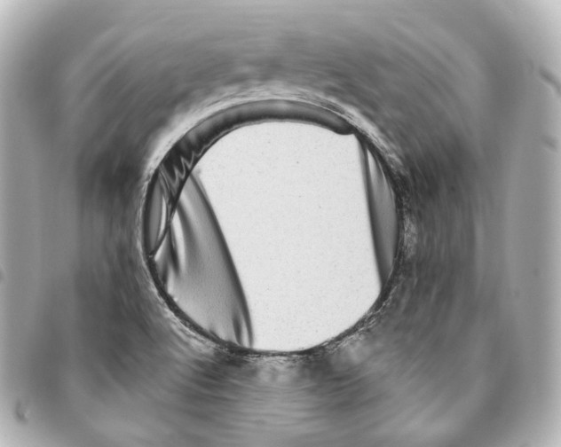 X0000094961512200712271708