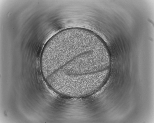 X0000094961513200712271708