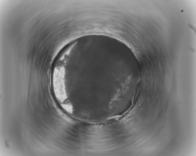 X0000094961515200712271708