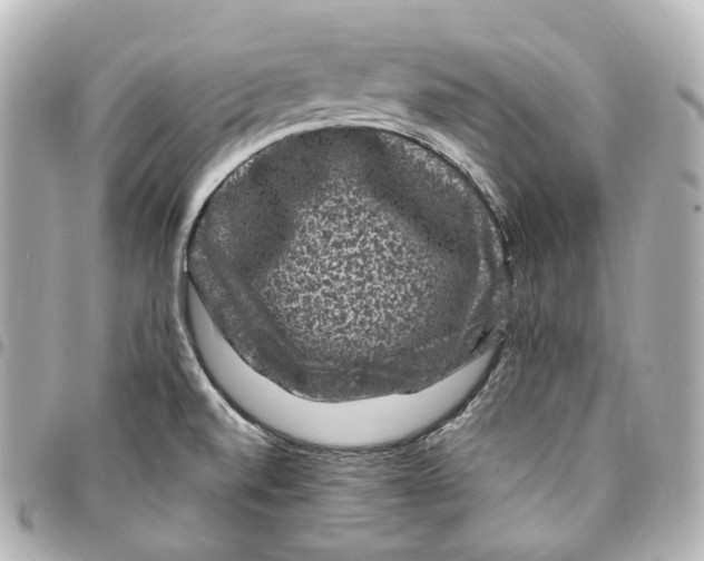 X0000094961520200712271708