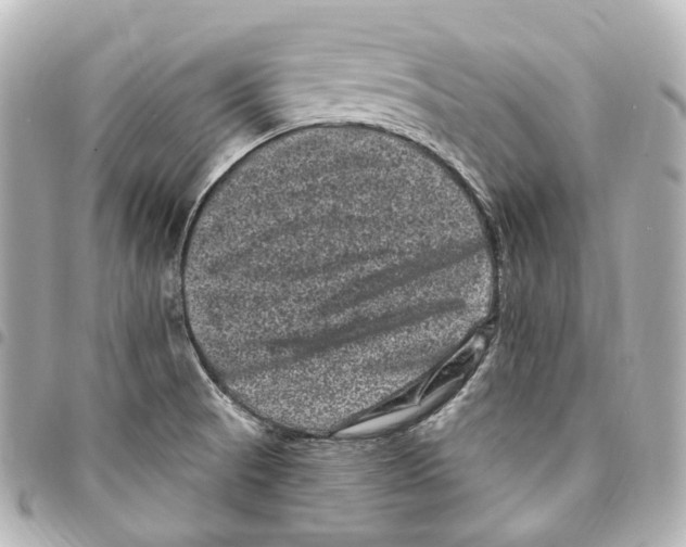 X0000094961521200712271708