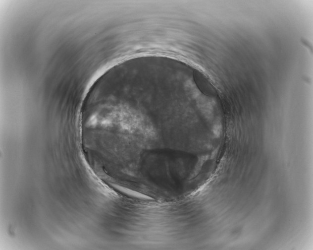 X0000094961522200712271708