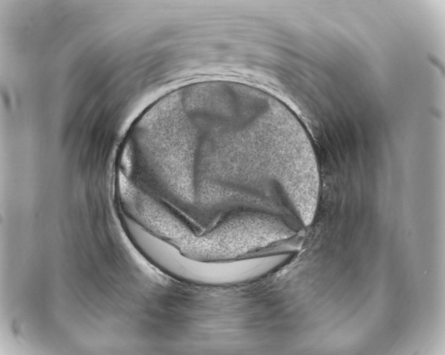X0000094961523200712271708