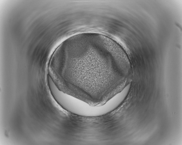 X0000094961528200712271708