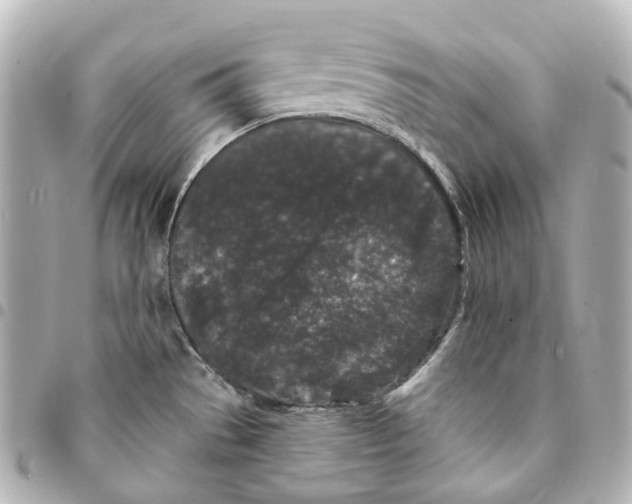 X0000094961529200712271708