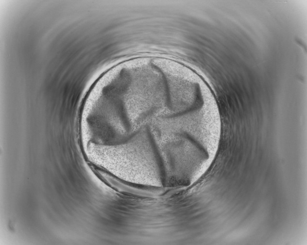 X0000094961531200712271708