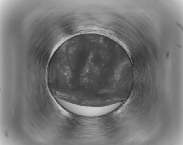 X0000094961533200712271708