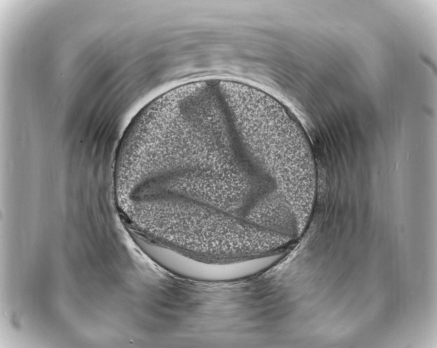 X0000094961534200712271708