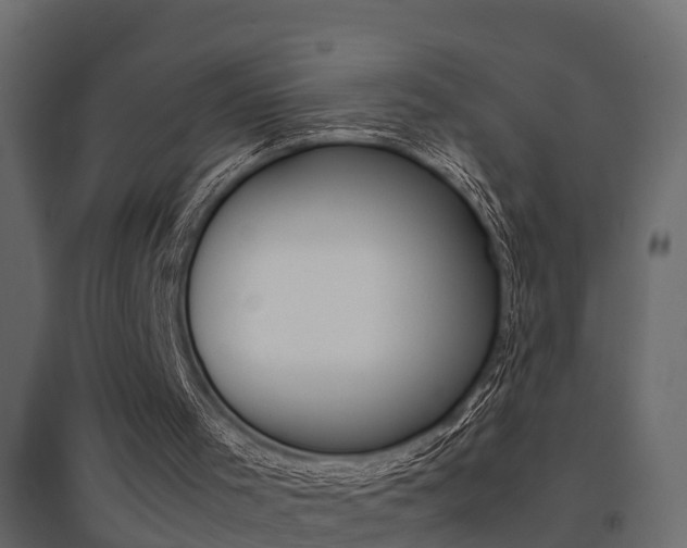 X0000094970001200711291149