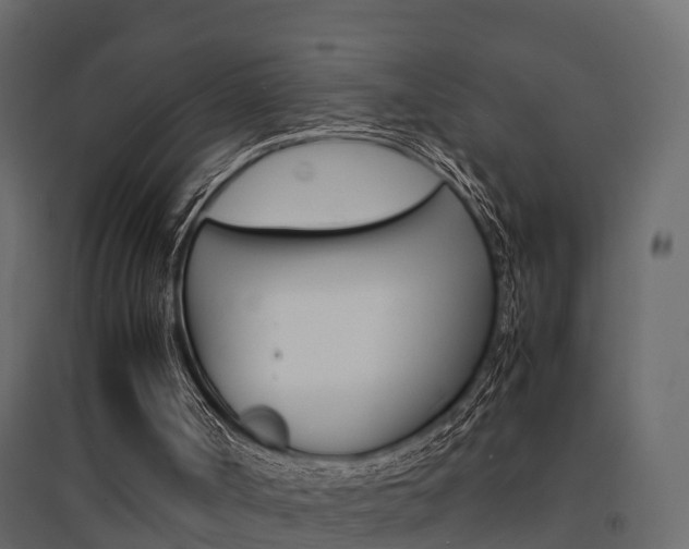 X0000094970002200711291149