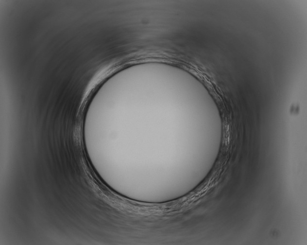 X0000094970004200711291149
