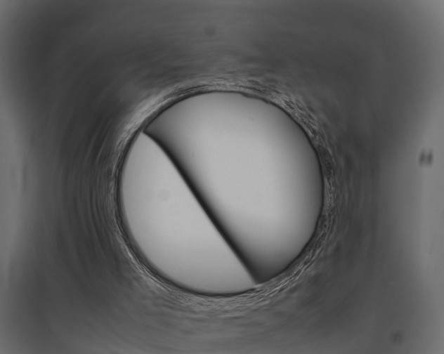 X0000094970005200711291149