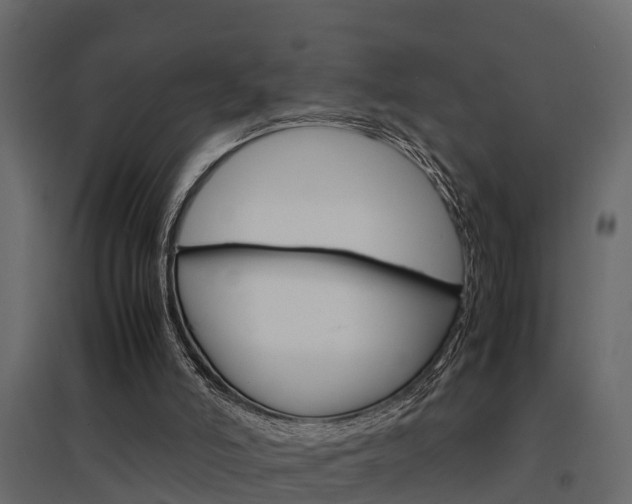 X0000094970006200711291149