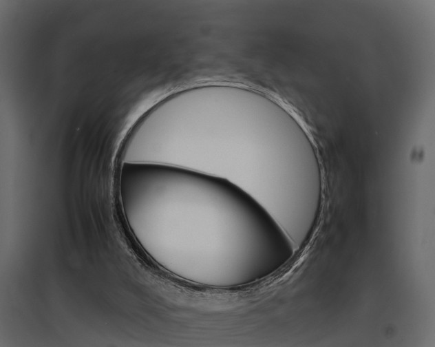 X0000094970008200711291149