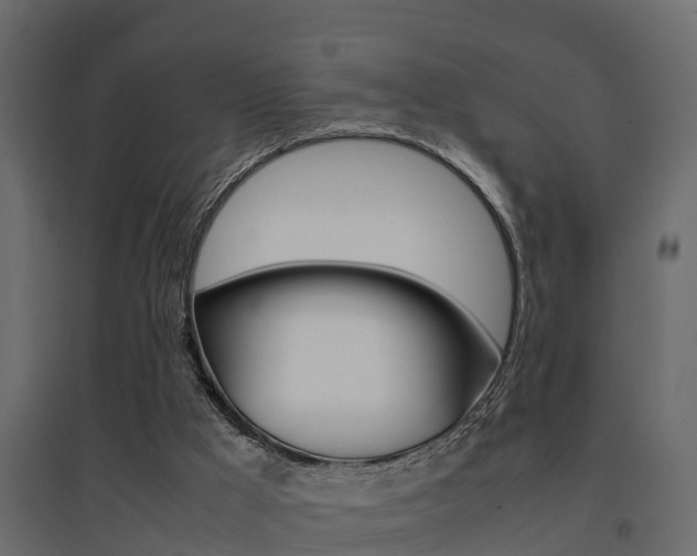 X0000094970009200711291149