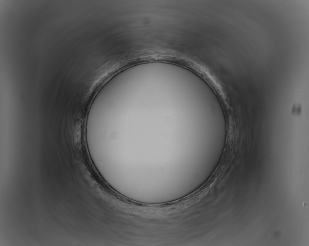 X0000094970010200711291149