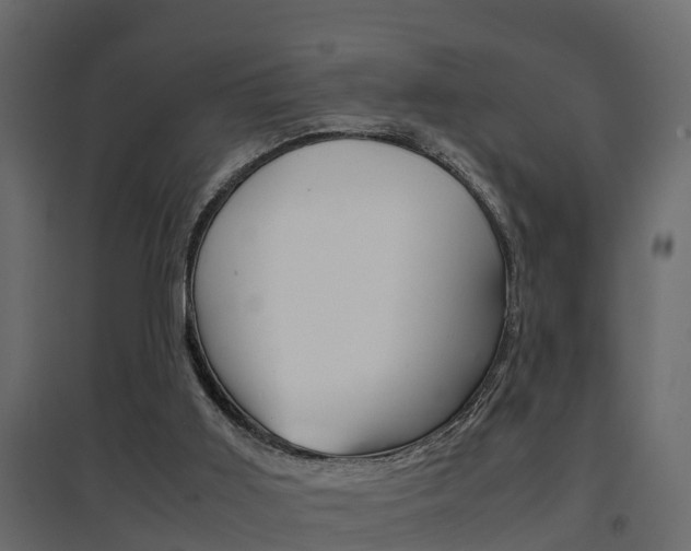 X0000094970011200711291149