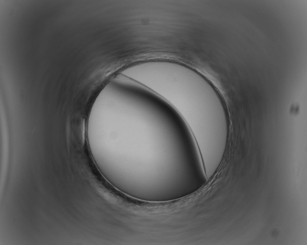 X0000094970013200711291149